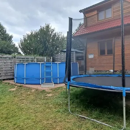 Skarb Baltyku Debina (Ustka)